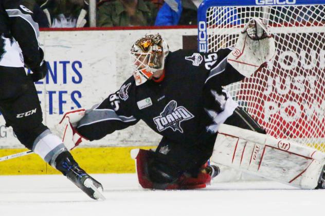 Idaho Steelheads Goaltender Tomas Sholl