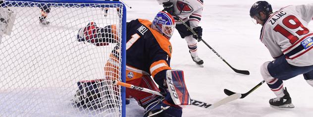 Kelly Zajac and the South Carolina Stingrays converge on the Greenville Swamp Rabbits' net