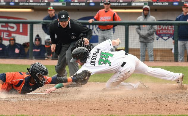 Dayton Dayton Catcher Morgan Lofstrom reaches home plate just ahead of the tag