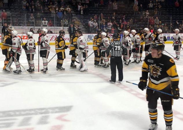 Hamilton Bulldogs and Niagara IceDogs exchange handshakes after playoff series