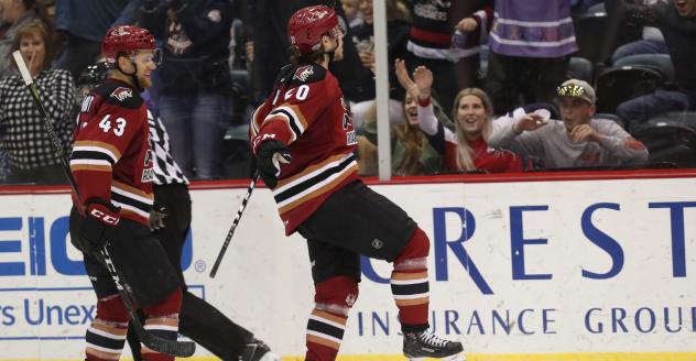 Tucson Roadrunners celebrate a goal