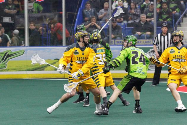 Randy Staats of the Georgia Swarm against the Saskatchewan Rush