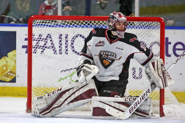 Vancouver Giants Goaltender David Tendeck