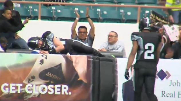 Duke City Gladiators celebrate a touchdown