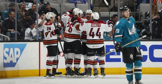 Tucson Roadrunners celebrate vs. the San Jose Barracuda