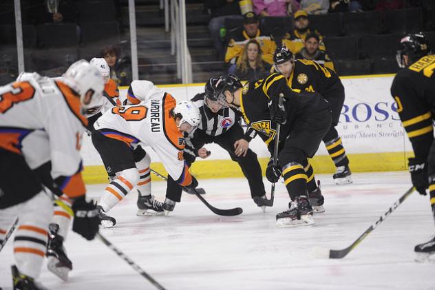 Lehigh Valley Phantoms face off with the Providence Bruins