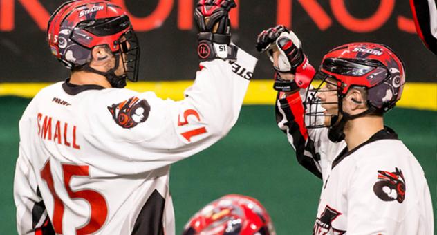 Corey Small of the Vancouver Stealth celebrates a goal
