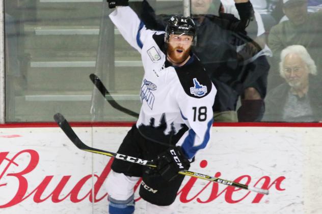 AJ White of the Idaho Steelheads celebrates a goal