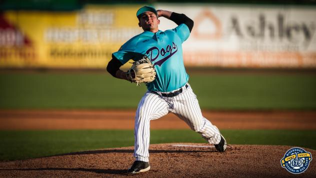 Charleston RiverDogs pitcher Dalton Lehnen