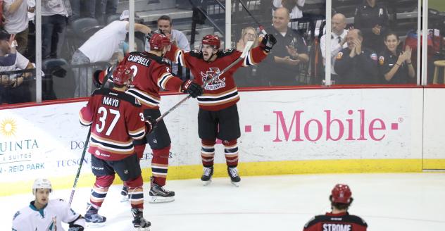 Tucson Roadrunners celebrate a goal