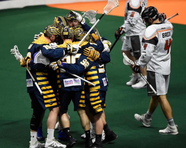 Georgia Swarm celebrates against the New England Black Wolves