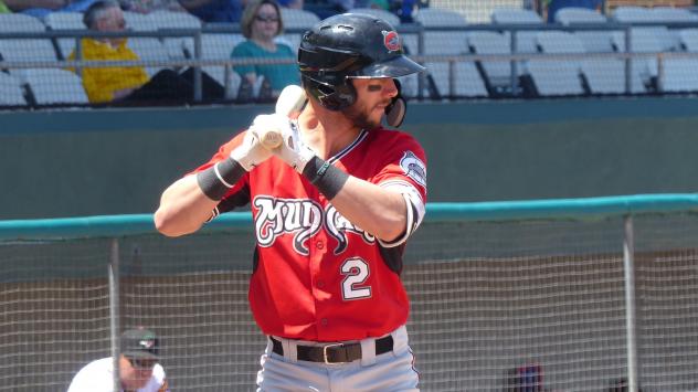Weston Wilson of the Carolina Mudcats at the plate