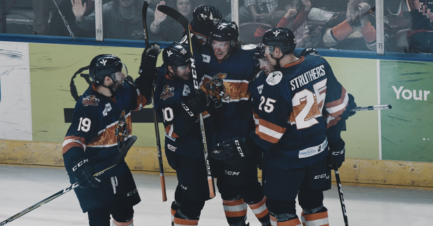 Greenville Swamp Rabbits celebrate