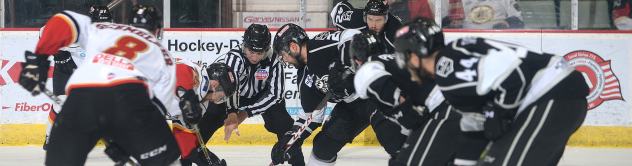 Manchester Monarchs face off with the Adirondack Thunder