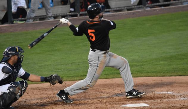 Tyler Holt of the Long Island Ducks Takes a Swing
