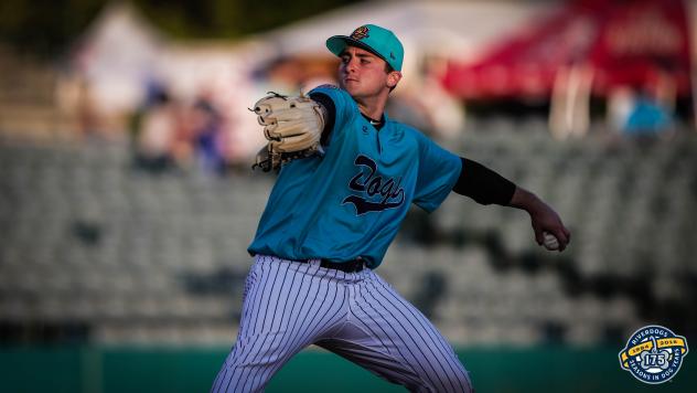 Charleston RiverDogs pitcher Dalton Lehnen