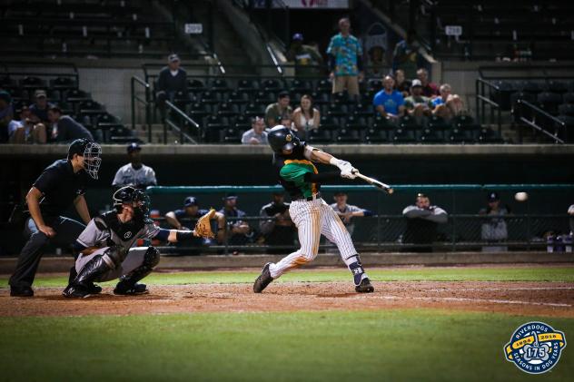 Charleston RiverDogs third baseman Chris Hess connects on his walk-off hit