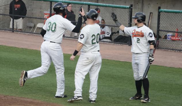 Long Island Ducks congratulate David Washington after his homer