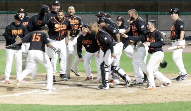 Long Island Ducks surround Jordany Valdespin following his walk-off home run