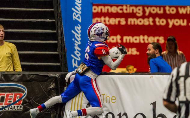 Florida Tarpons receiver Reggie Ellis makes a catch against the boards