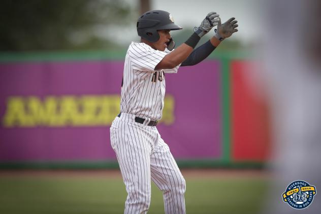 Leonardo Molina of the Charleston RiverDogs reacts after his two-run double