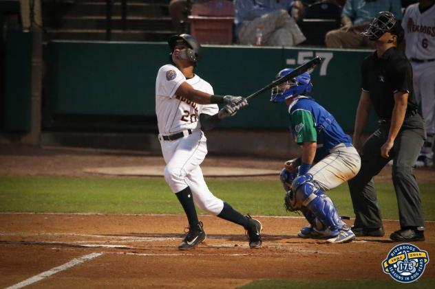 Leonardo Molina of the Charleston RiverDogs delivers the game-winning hit