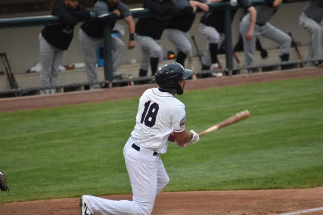 Alex Castellanos of the Somerset Patriots