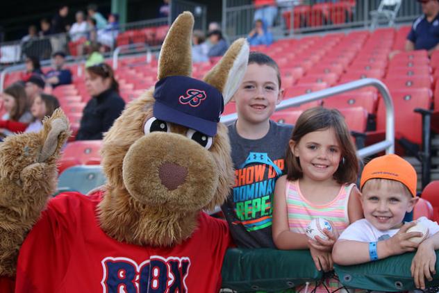 Brockton Rox fans