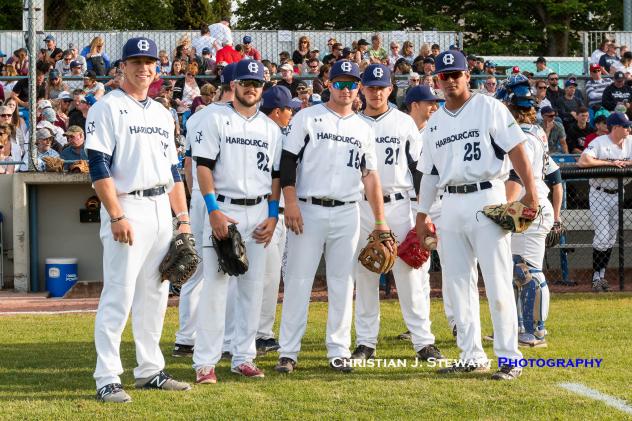 Victoria HarbourCats