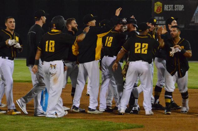 Sussex County Miners celebrate a walk-off win