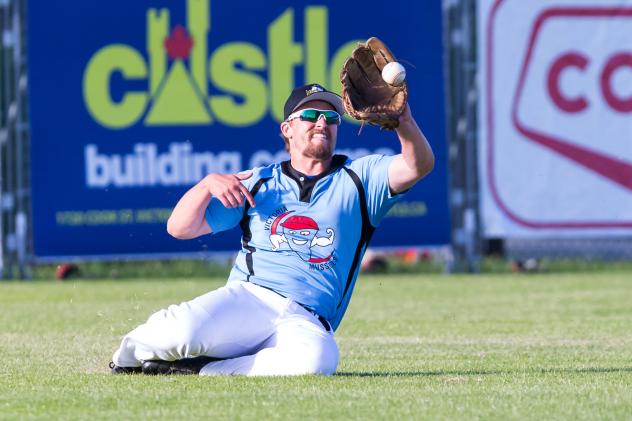 Colton Peha of the Victoria HarbourCats makes a sliding catch