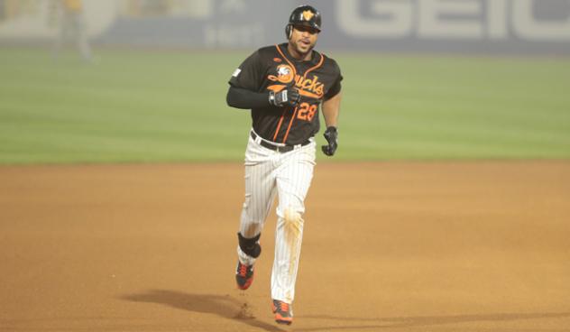 Long Island Ducks outfielder Daniel Fields