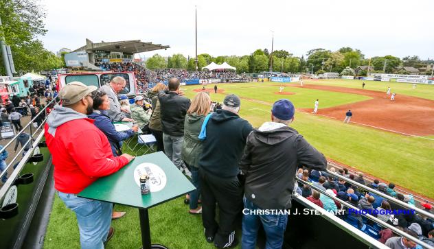Victoria HarbourCats' Upper Deck experience