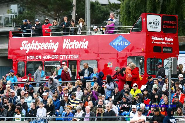 The Upper Deck Experience at Wilson's Group Stadium, home of the Victoria HarbourCats