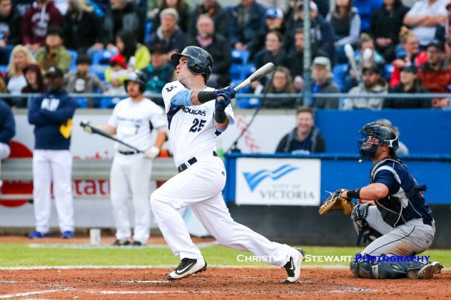 Trey Bigford of the Victoria HarbourCats