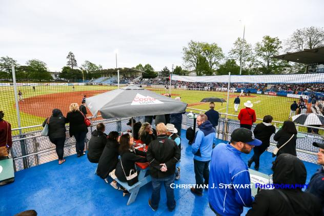 Fans enjoy the Victoria HarbourCats' Strathcona Rooftop Party Deck
