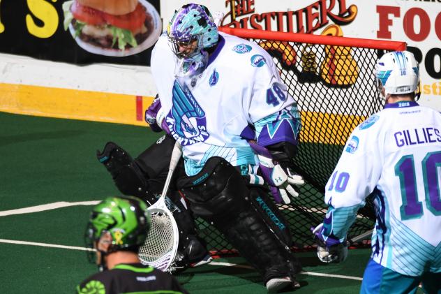 Rochester Knighthawks goalkeeper Matt Vinc stands tall vs. the Saskatchewan Rush