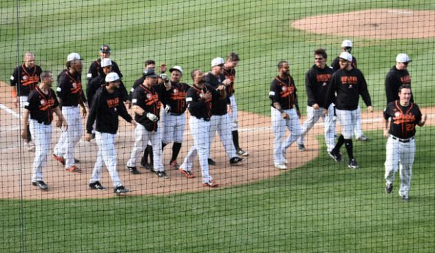 Long Island Ducks walk off with a win