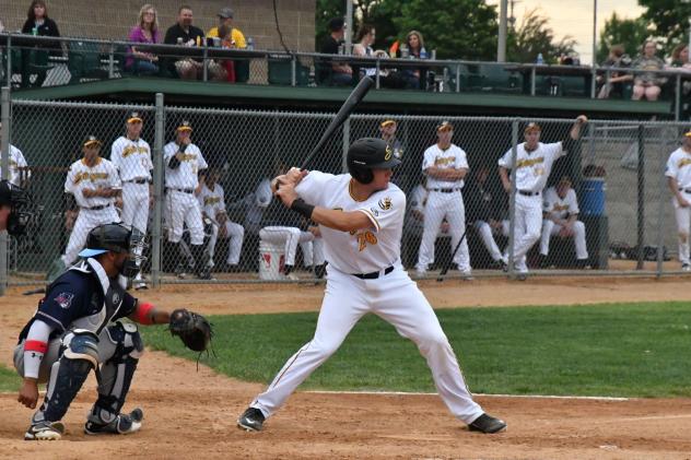 Willmar Stingers prepared to hit