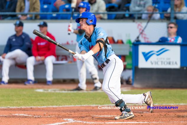 Adam Imwalle of the Victoria HarbourCats