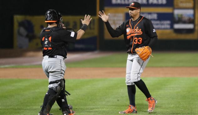 Long Island Ducks catcher Ramon Cabrera and pitcher Jair Jurrjens