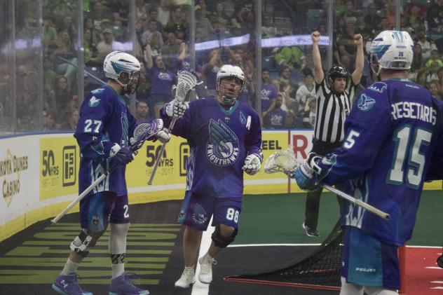 Cody Jamieson of the Rochester Knighthawks after a score