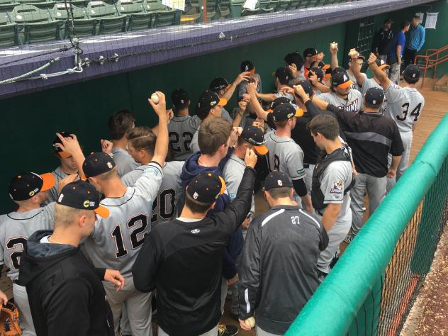 Albany Dutchmen dugout