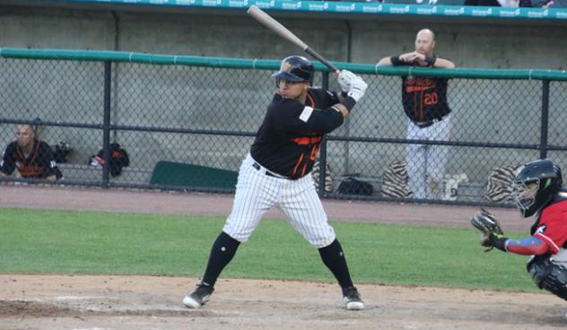 Ramon Cabrera of the Long Island Ducks awaits a pitch
