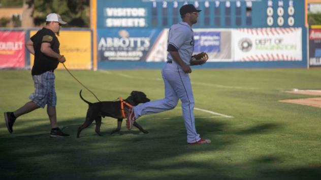 Walla Walla Sweets jog onto the field