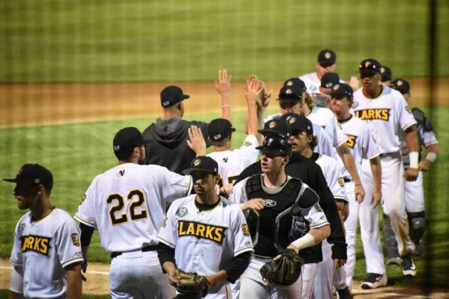 Bismarck Larks exchange high fives