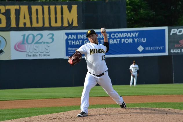 Sussex County Miners pitcher David Rollins