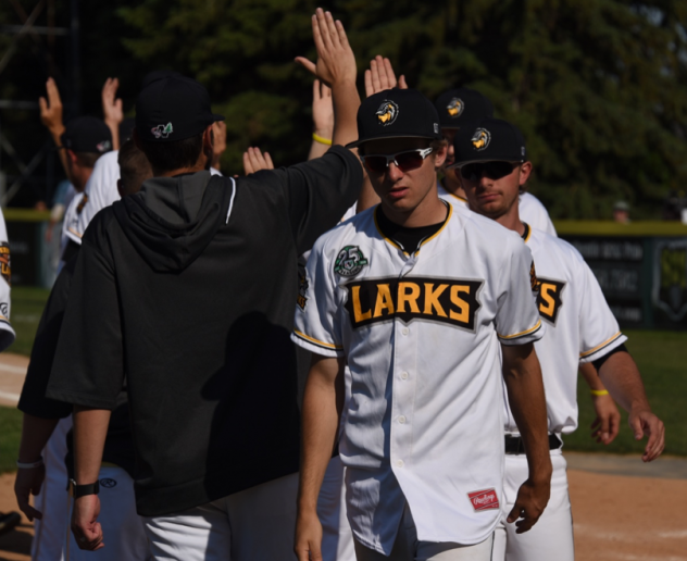 Bismarck Larks' high five line