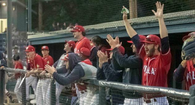 Walla Walla Sweets bench celebrates