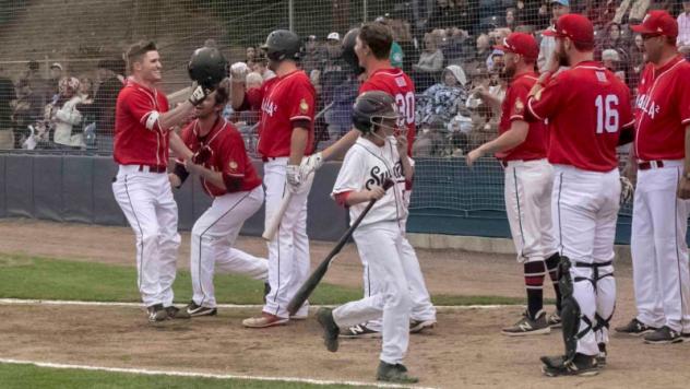 Walla Walla Sweets celebrate Josh Prizina's homer